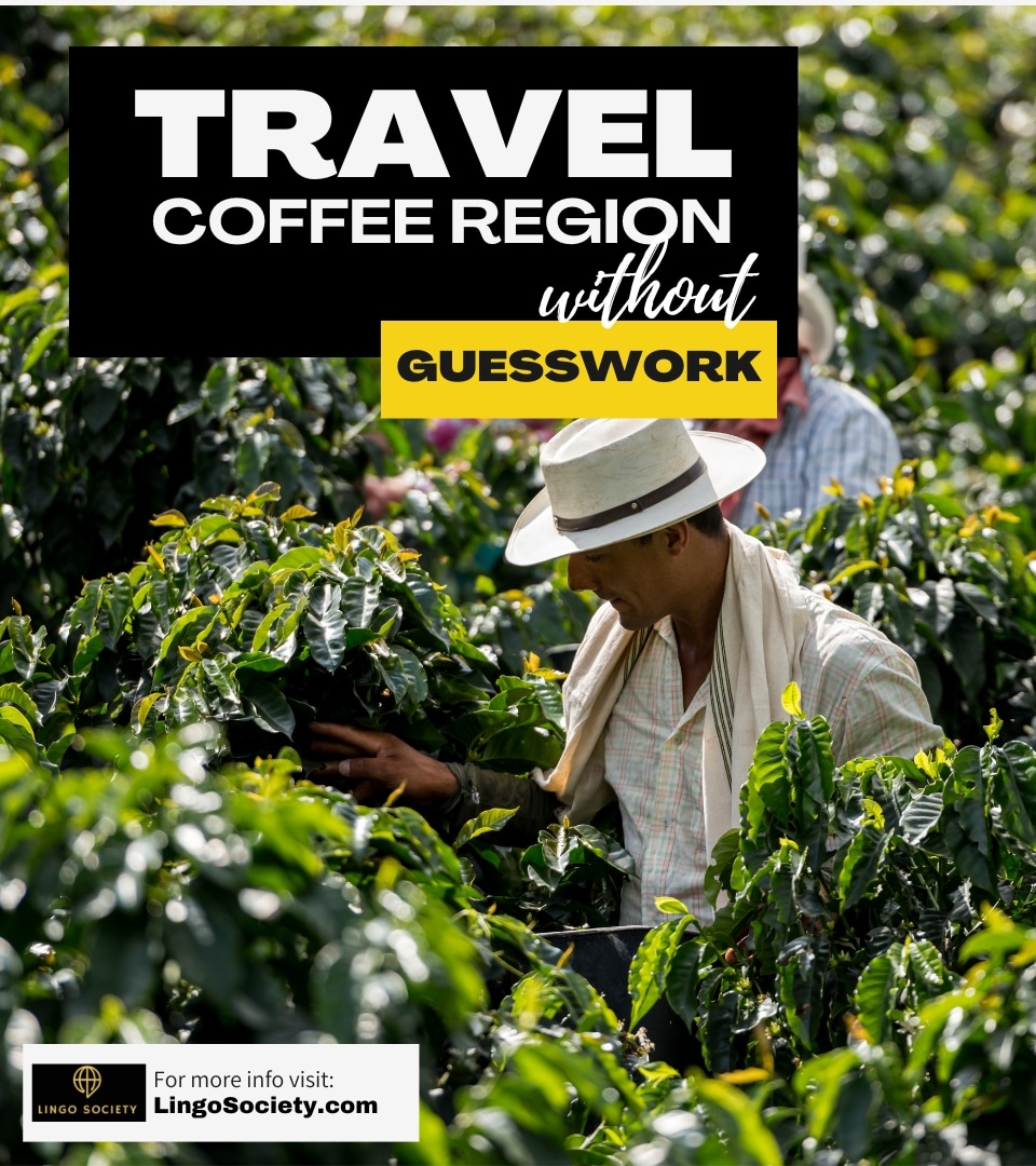 Coffee Region guide Lingo Society